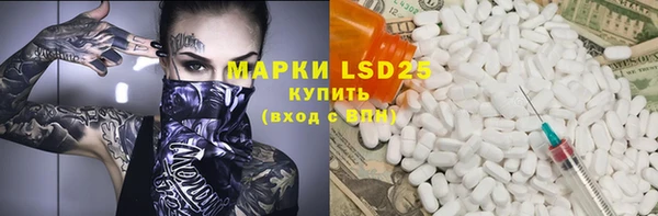 амф Горняк