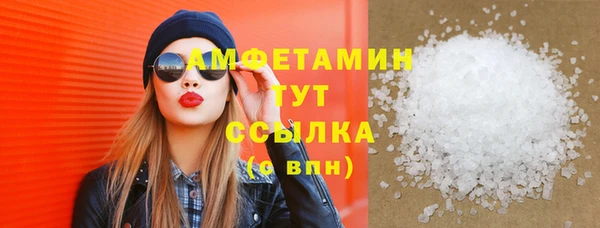 амф Горняк