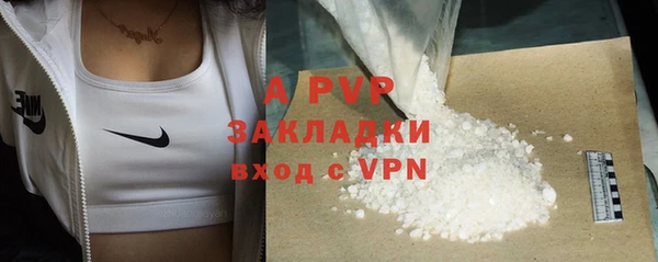 амф Горняк
