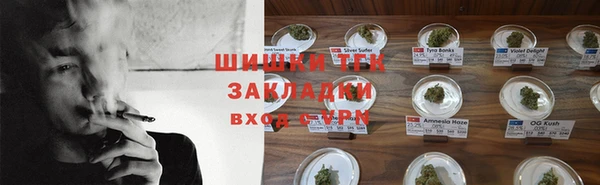 амф Горняк
