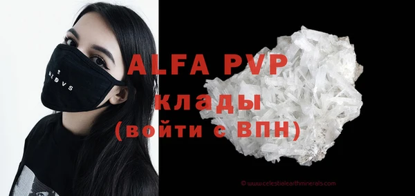 амф Горняк