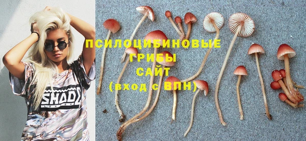 амф Горняк