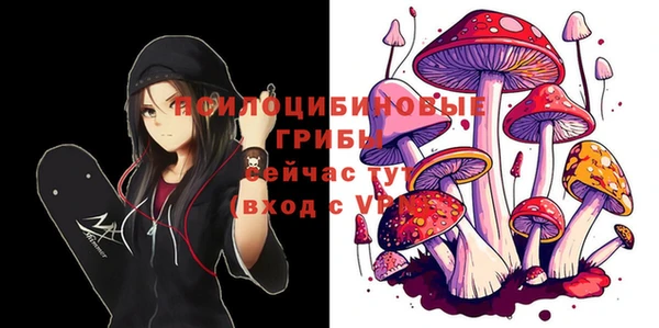 соль курить ск Горно-Алтайск