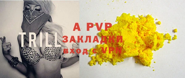 амф Горняк