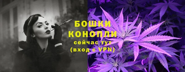 МДПВ Горнозаводск