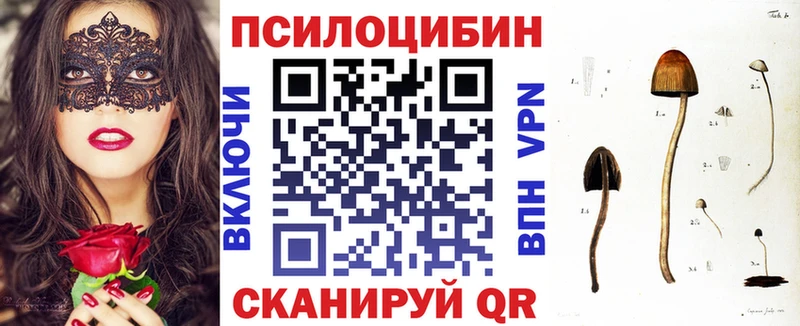 Галлюциногенные грибы Cubensis Черкесск