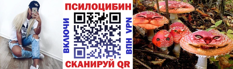 ссылка на мегу как войти  Черкесск  Галлюциногенные грибы ЛСД  как найти наркотики 